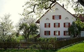Matthis-Hof